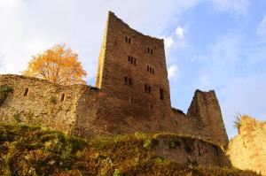 an old castle on top of a hill at Schauenburgblick in Oberkirch