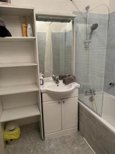 ein Badezimmer mit einem Waschbecken, einer Dusche und einer Badewanne in der Unterkunft Le Cocon - 3 pièces Mulhouse Gare/Centre in Mulhouse