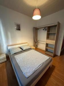 ein Schlafzimmer mit einem Bett in einem Zimmer mit einer Lampe in der Unterkunft Le Cocon - 3 pièces Mulhouse Gare/Centre in Mulhouse