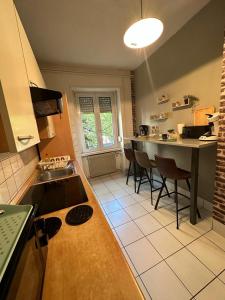una cocina con una mesa y una encimera en Le Cocon - 3 pièces Mulhouse Gare/Centre, en Mulhouse