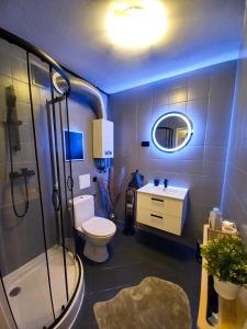 een badkamer met een douche, een toilet en een wastafel bij Punkt Nieruchomości in Katowice