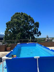 a blue swimming pool with a tree in the background at Apartments NITA in Batumi
