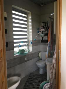 uma casa de banho com um lavatório, um WC e uma janela. em Domek na wsi Roztocze Bania Bilard 
