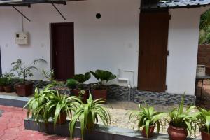 a group of potted plants in front of a building at Ben's Villa Kannur ! in Kannur