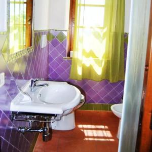 y baño con lavabo y aseo. en Agriturismo Salaiolo 176 en Scansano