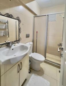 W łazience znajduje się umywalka, toaleta i prysznic. w obiekcie Spacious 1BR near Taksim w Stambule