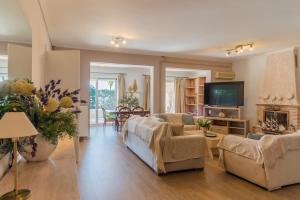 a living room with a couch and chairs and a tv at Amor Villa in Laganas