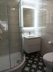 a bathroom with a shower and a sink and a toilet at Tom Dick and Harriet's Accommodation in Dublin