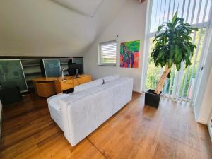 a living room with a white couch and a potted plant at Mountains and Lakes - Villa Gaumberg in Linz