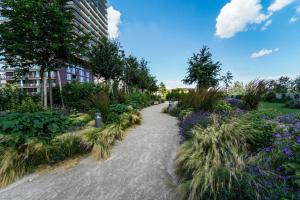 a path through a garden with purple flowers at Great apartment with view and heated rooftop Pool in Vienna