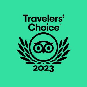 a logo for the travelers choice chute at St George's Hotel in York