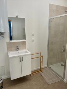 La salle de bains est pourvue d'un lavabo et d'une douche. dans l'établissement Résidence Pont à l'Herbe, à Douai