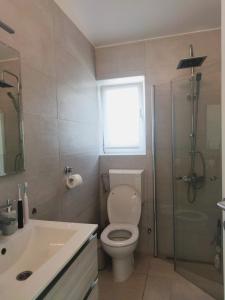 a bathroom with a toilet and a shower and a sink at Apartment Betty in Labin