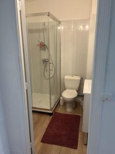 uma casa de banho com um WC e uma cabina de duche em vidro. em Appart'T2 avec terrasse em Lasbordes