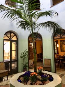 a palm tree in the middle of a room at Villa Palladio - Zimmer in Winden am See