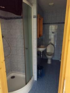 a bathroom with a shower and a toilet and a sink at Penzion Sportka 