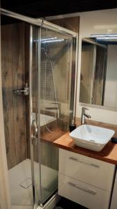 een badkamer met een douche en een witte wastafel bij Le Sommelier Chalon in Chalon-sur-Saône