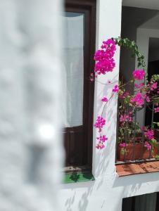 una ventana con flores rosas en el balcón en Claustro Home Casco Histórico Córdoba, en Córdoba
