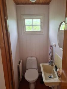 a small bathroom with a toilet and a sink at Trevlig och havsnära stuga in Glommen