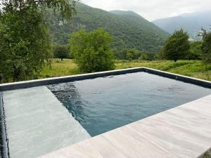 a swimming pool with mountains in the background at Faites le plein de nature ! in Arbon