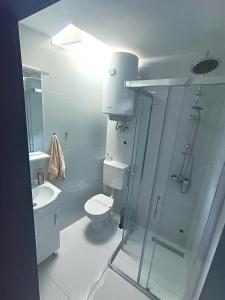 a bathroom with a shower and a toilet and a sink at Motel Gas-Petrol in Brčko