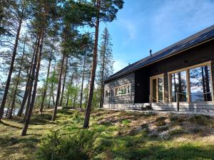 eine schwarze Hütte im Wald mit Bäumen in der Unterkunft Villa Northern Lights by DG Lomailu, Lapland, Finland in Kyrö