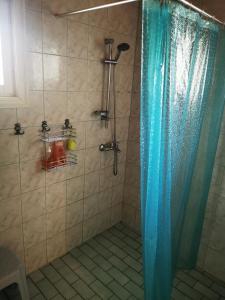 a shower with a blue shower curtain in a bathroom at Guesthouse Siskonpeti in Korppoo