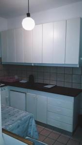 Kuchyň nebo kuchyňský kout v ubytování Villa Michel
