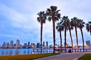 a group of palm trees next to a body of water at Lovely 3bed Apt with pool close to SD Convetion Center 324 in San Diego