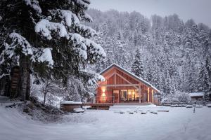 NaturparkResort Lausernest v zime