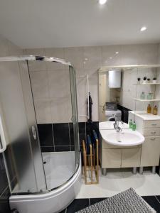 a bathroom with a shower and a sink at STUDIO APARTMAN KARLER in Karlovac