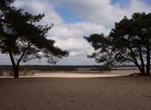 Fotografie z fotogalerie ubytování Natuurhuisje Oisterwijk Bedstee v destinaci Oisterwijk