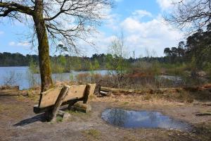 Fotografie z fotogalerie ubytování Natuurhuisje Oisterwijk Bedstee v destinaci Oisterwijk