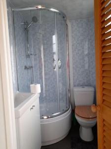 een badkamer met een douche, een toilet en een wastafel bij Natuurhuisje Oisterwijk Bedstee in Oisterwijk