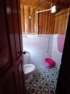 a bathroom with a toilet and a pink bucket at Dagdag Village Homestay - Sagada in Sagada