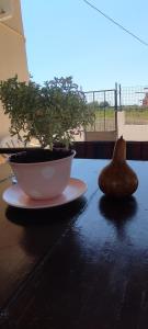 a potted plant sitting on a table next to a bowl at Olive Grove Cottage Skalani in Knossós