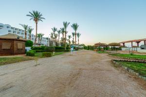 Siva Sharm Resort & SPA - Couples and Families Only في شرم الشيخ: طريق ترابي فيه نخل ومبنى