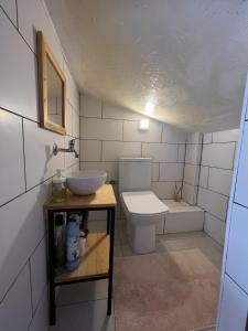un piccolo bagno con servizi igienici e lavandino di Chic Villa with Terrace and Rooftop in Izmir a Smirne