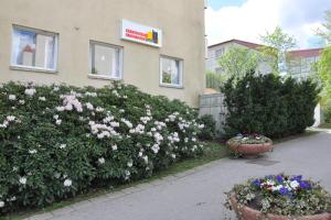 a building with flowers in front of a building at Brandbergens Vandrarhem in Haninge