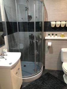 een badkamer met een douche, een wastafel en een toilet bij Domek wypoczynkowy caloroczny w okolicach Zatora i Wadowic in Radocza