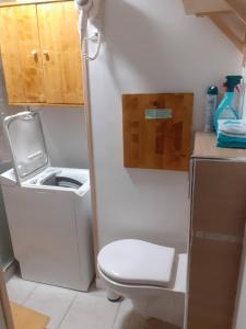 uma pequena casa de banho com WC e lavatório em Studio Praz de lys - Les pralyssimes em Taninges