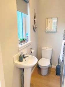 a bathroom with a toilet and a sink at Castlehill in Dundee