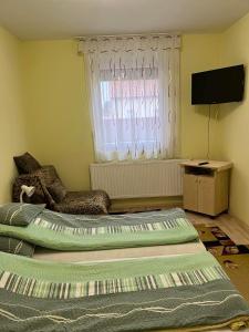 莫勞豪洛姆的住宿－Szundivendégház，一间卧室设有两张床、一台电视和一扇窗户。