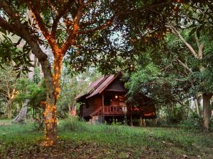 a small cabin in the middle of a forest at The Wild Side in Ban Tai