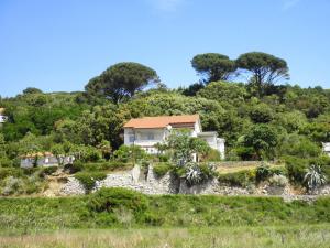 a house on top of a hill with trees at Apartments Kampor in Rab