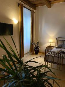 een slaapkamer met een bed en een potplant bij Apartment DeLuxe in Praag
