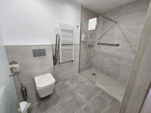 y baño con aseo y ducha acristalada. en Inicia AVIO Apartamentos en Santiago de Compostela