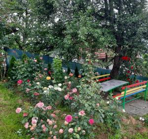 Zahrada ubytování Sarajevo Flower Garden