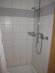 een badkamer met een douche en een bad bij Wohnung CHOTTES NEND230 in Nendaz
