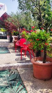 Vonkajšia záhrada v ubytovaní Hotel Virginia